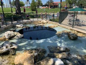 spring-fed swimming pool