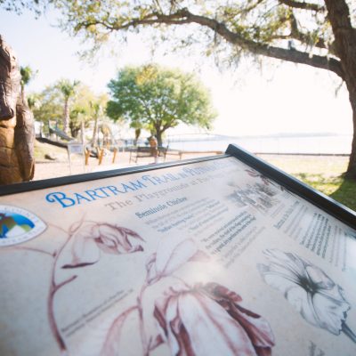 waterfront park
