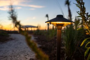 ground lighting and pathway